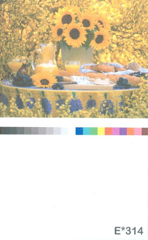 Digital Wallpaper – E 314